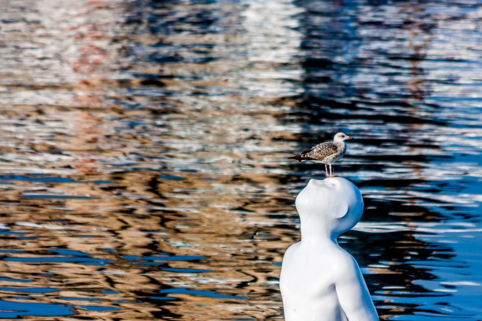 Port Vell. Barcelona