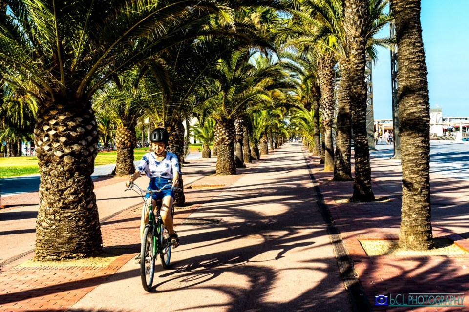 Pedaling under palm trees