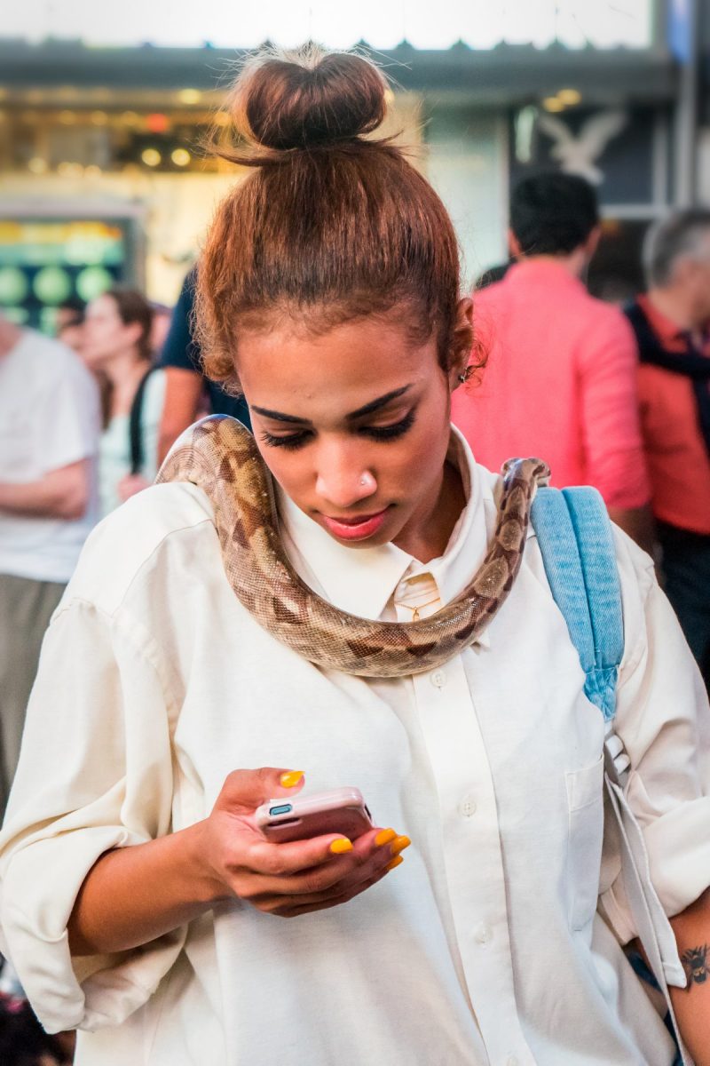 Do you want to talk to my snake?